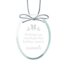 Elegant Jade Oval Ornament with Silver Ribbon - Ornaments