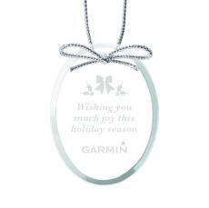 Elegant Jade Oval Ornament with Silver Ribbon - Ornaments