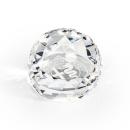 Crystal Driscoll Multifaceted Paperweight
